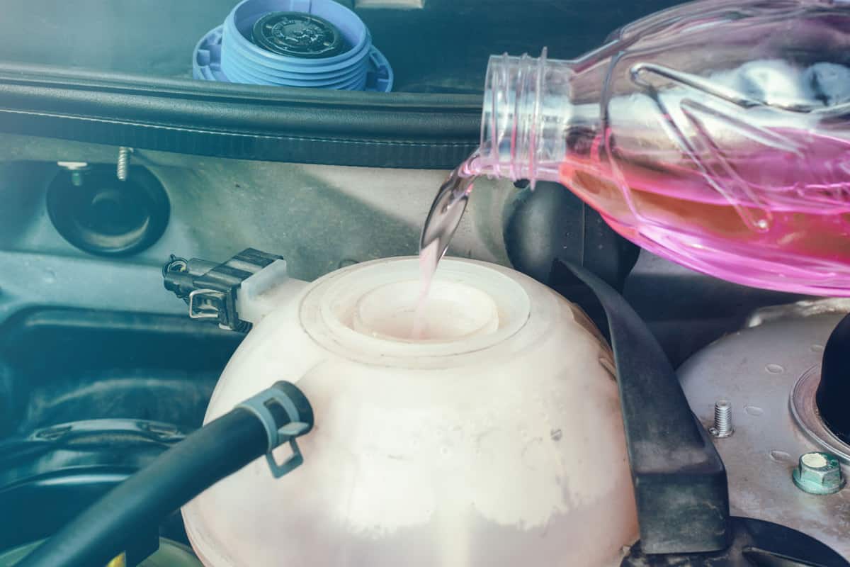 Pouring pink antifreeze liquid to the car engine