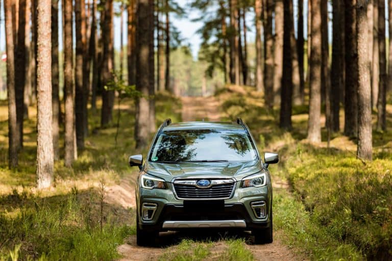 Subaru Forester e-Boxer outdoors on dirt road during sunny summer day, How Long Do Subaru Forester Brakes Last?