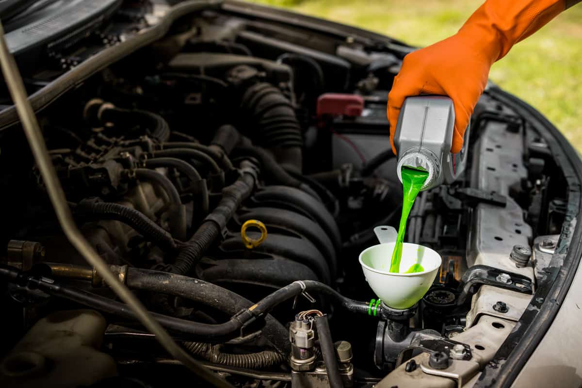 close-up male hand with gloves filling car cooling system with green coolant.