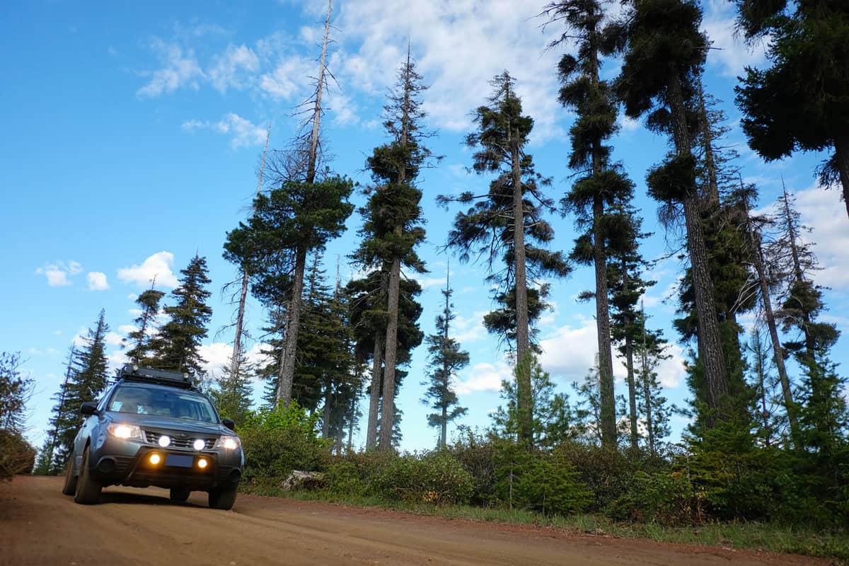 A Subaru Forester on a dirt road through the Oregon Cascades wilderness