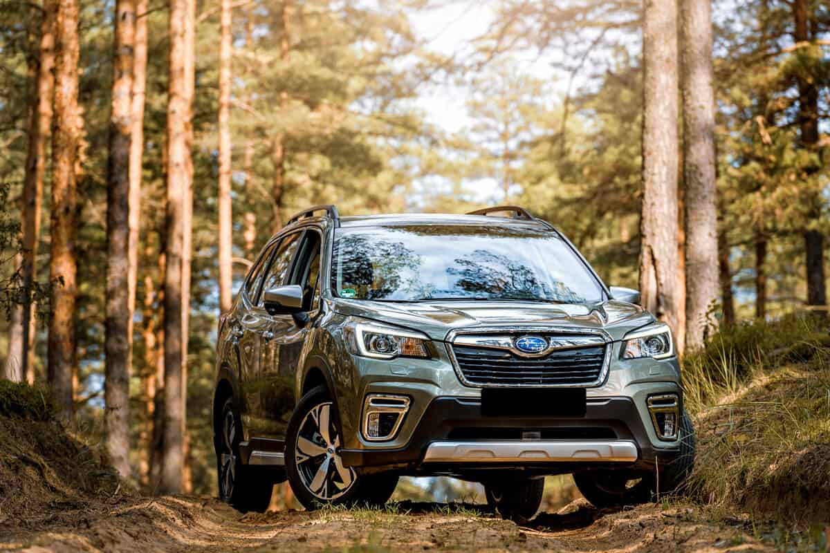 A Subaru Forester trekking on a Forest area