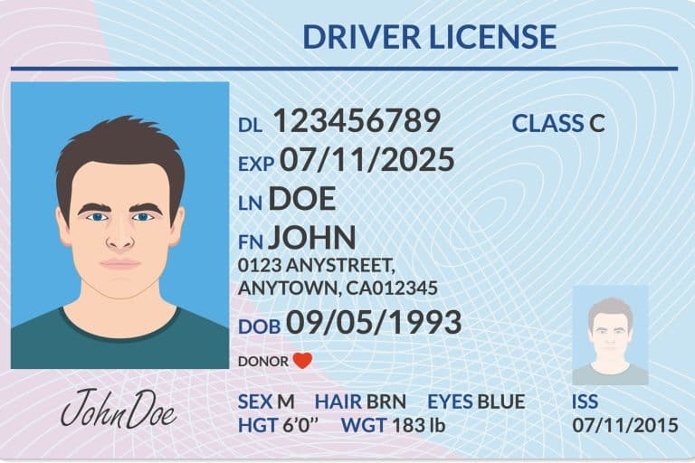 Driver license with male photo. Identification or ID card template. Vector illustration - If I Surrender My License Can I Get It Back