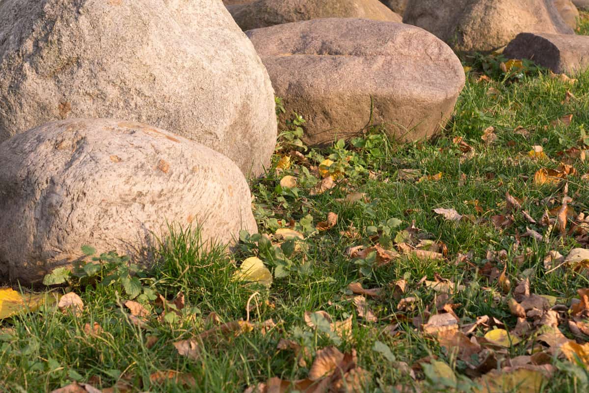 Grass filled with leaves and huge rocks on the side