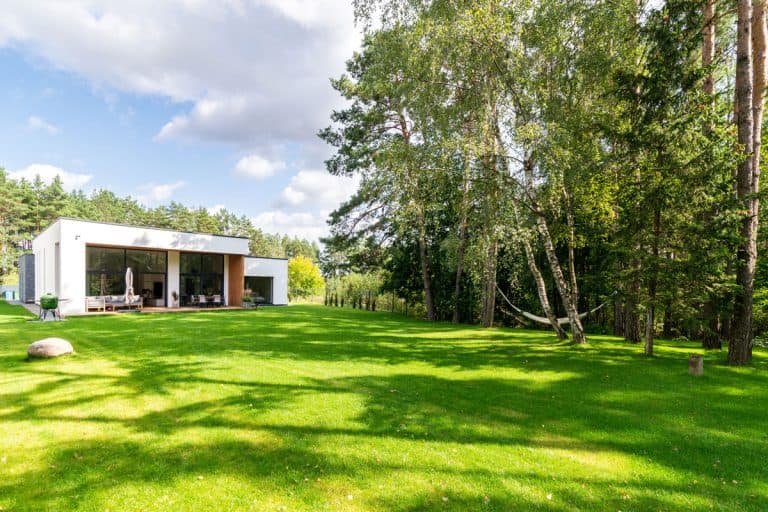 Spacious backyard next to a forest with green lawn of a modern private house, Can You Park A Car In Your Backyard?