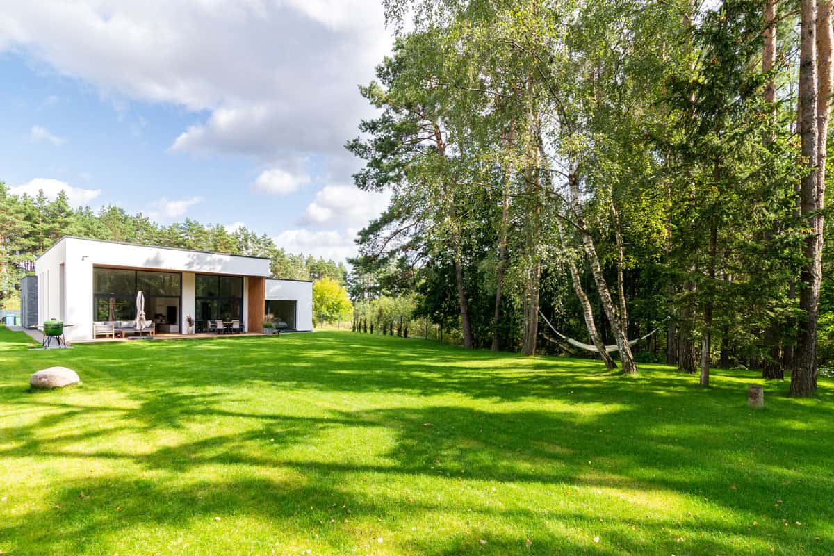 Spacious backyard next to a forest with green lawn of a modern private house