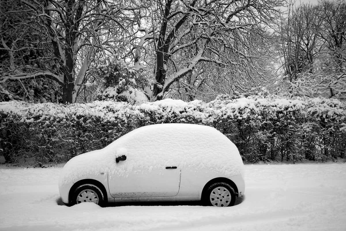 Thick snow covering the street, hedge, trees and the parked car.