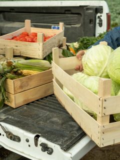 Unrecognizable male farm worker putting box of cabbages into pickup cabin, How To Put Groceries In A Pickup Truck