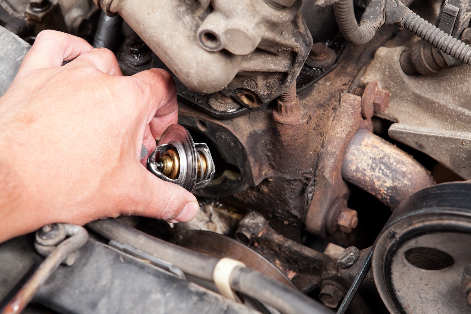 A male mechanic's hand is installing a new thermostat into a vehicle engine block. The thermostat is a common replacement part and is often the cause of engine overheating.
