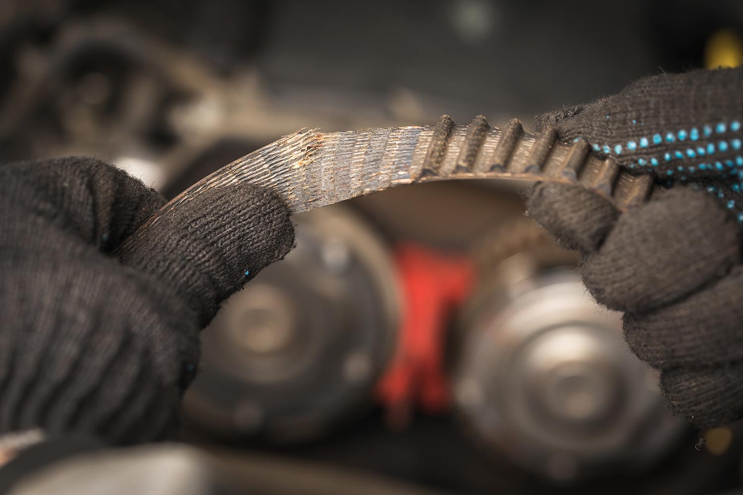 An auto mechanic removed a torn timing belt with worn teeth from a car
