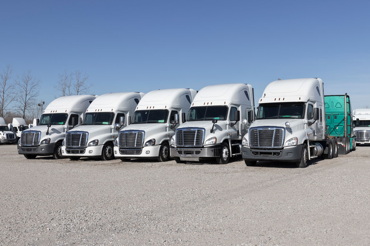 Freightliners lined up at trucking industry