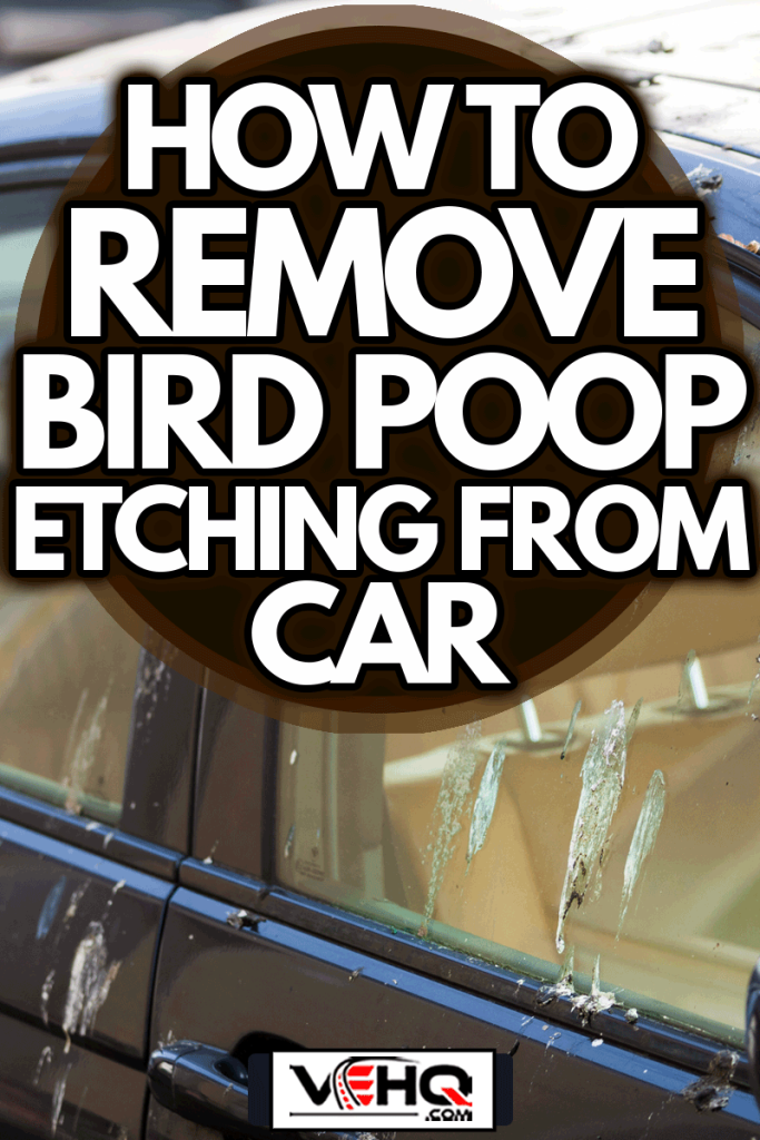 Bird droppings on car, How To Remove Bird Poop Etching From Car