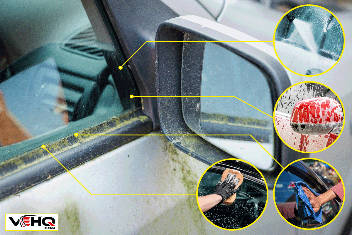 An old car covered in moss, How To Remove Green Algae And Moss From Car Windows?