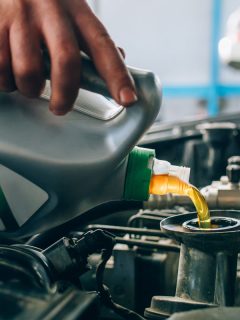 Mechanician pouring fresh oil during Repair of a car in auto service garage, How Much Oil Do I Need For An Oil Change?
