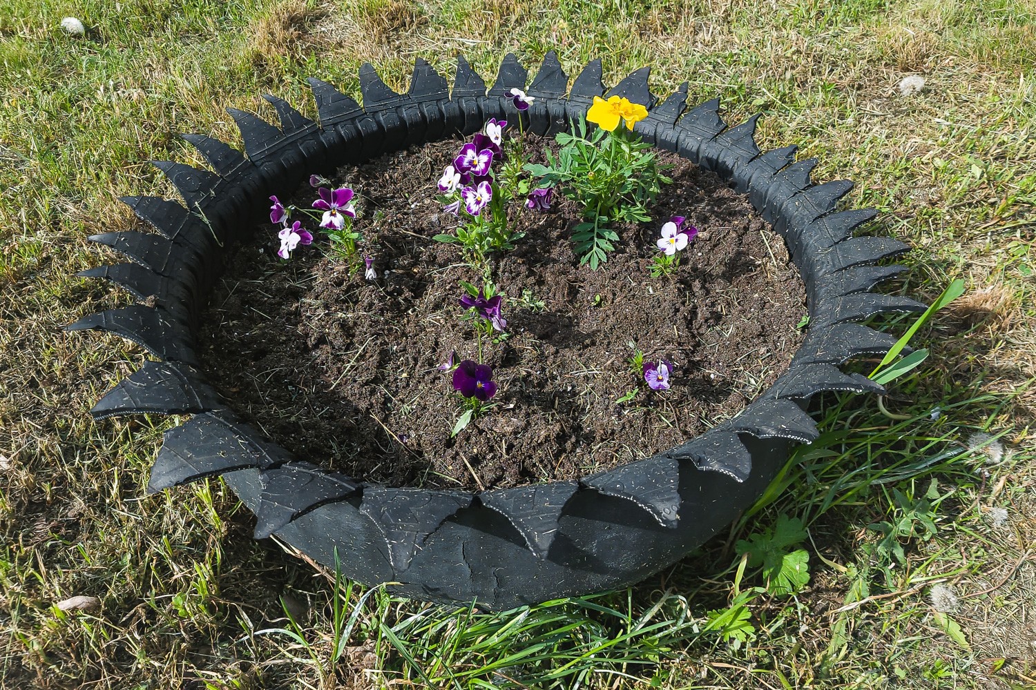 Outdoor flowerpot cut from a car tire.