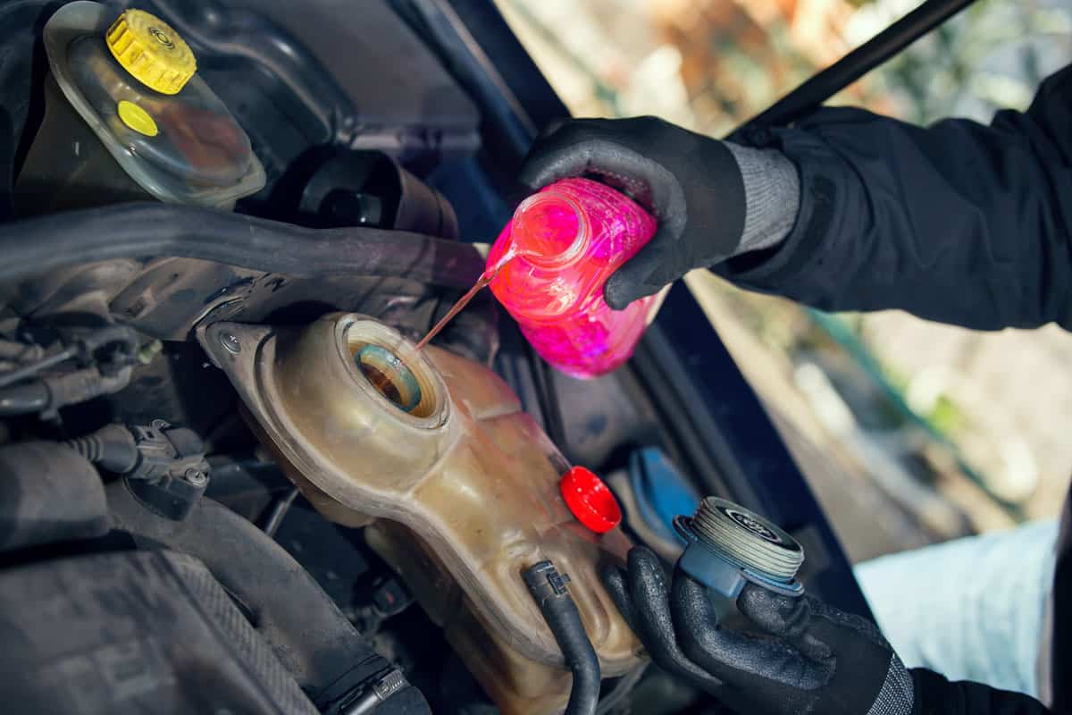 Pouring pink coolant to the car engine coolant reservoir