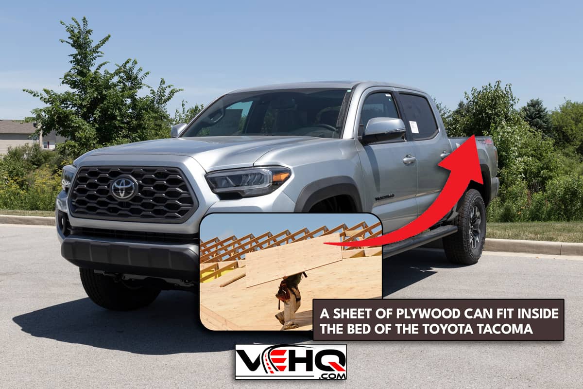Grey toyota tacoma on parking lot, Can You Fit A Sheet Of Plywood In A Tacoma?