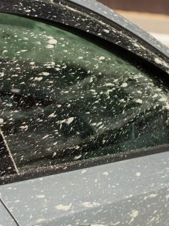A car is splashed with cement on its surfac, Car Covered in Cement Dust - What To Do?