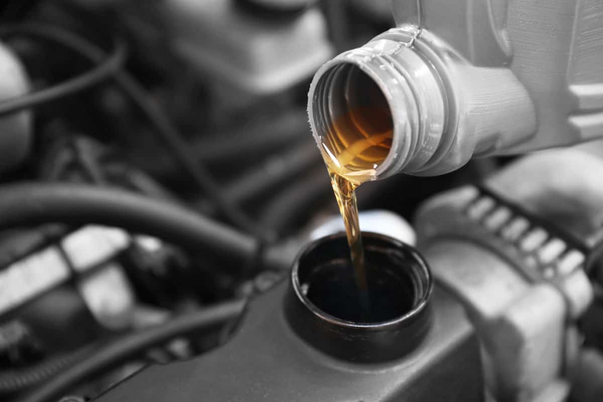 Pouring a new oil to the car engine