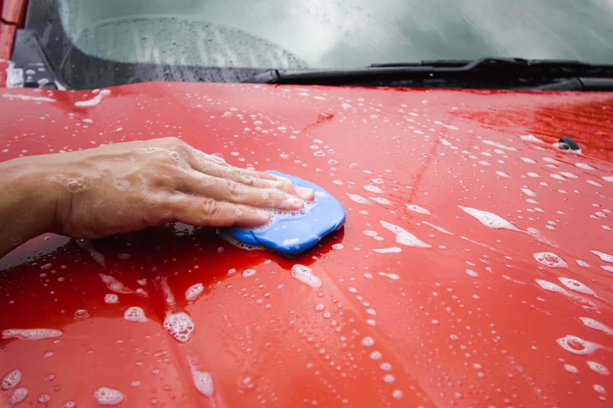 Using Clay Bar to clean car surface in Car detaing business