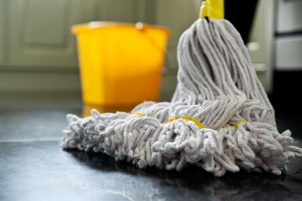 close up photograph of a mop and bucket with shallow depth of field