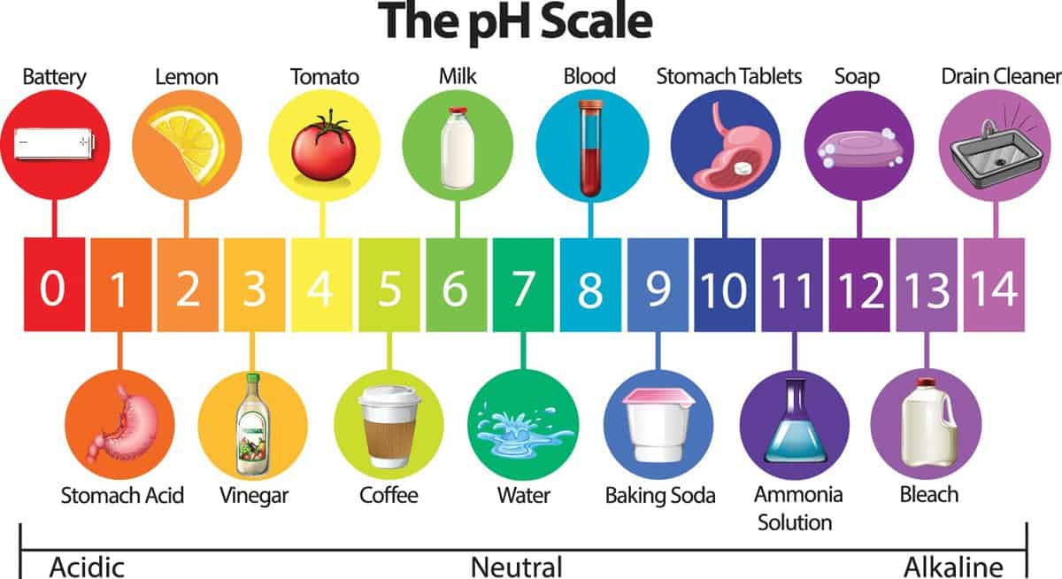 An Education Poster of pH Scale illustration