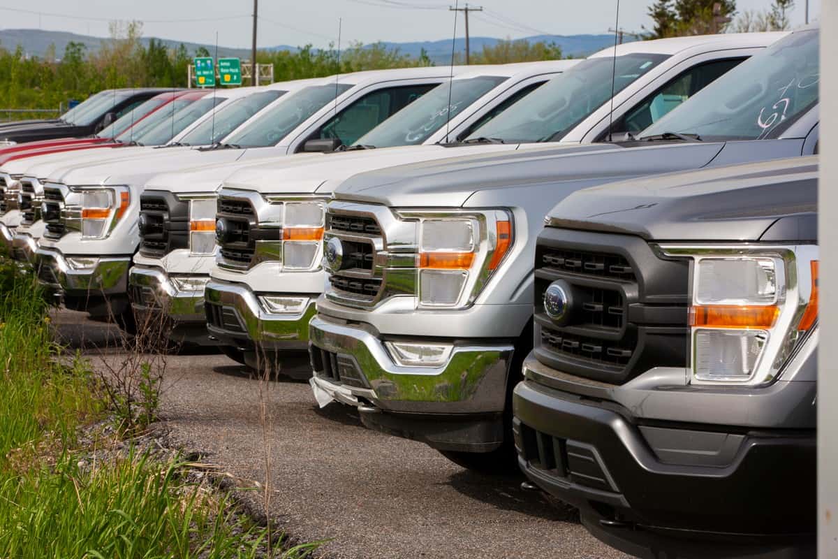 Ford F150s parked at a dealership