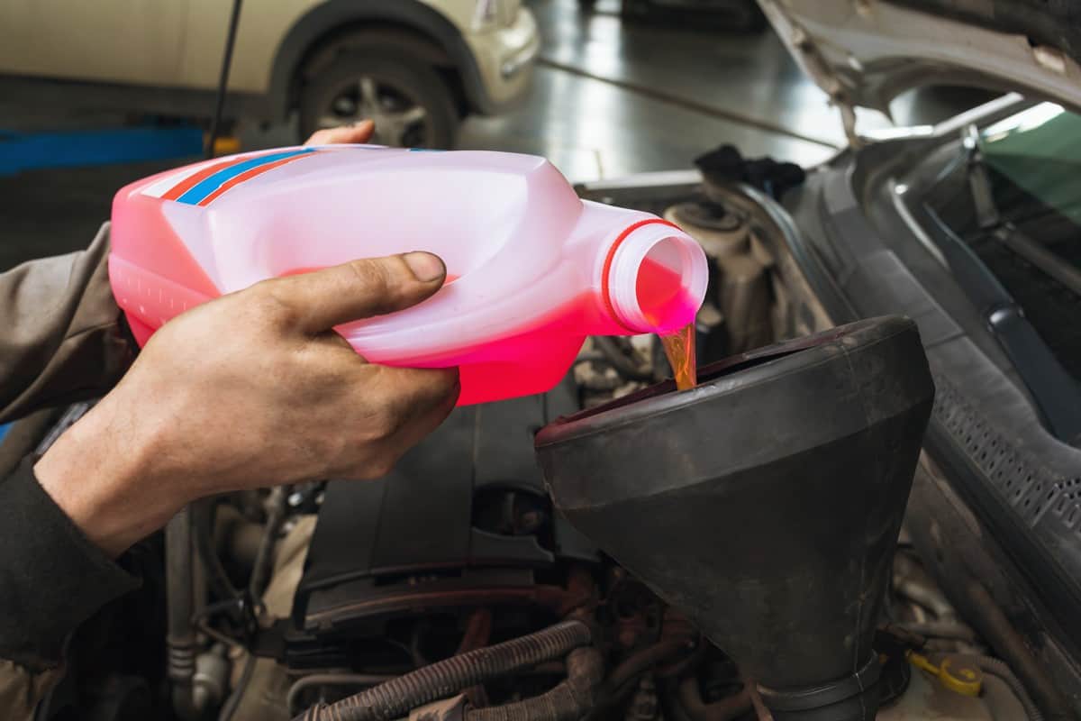 Pouring pink coolant to the car engine