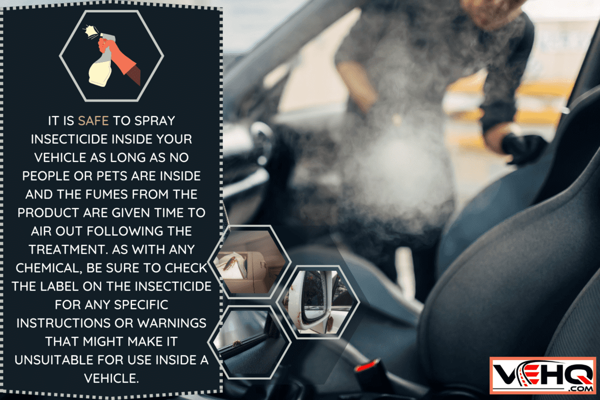 Cleaning of car salon with steam cleaner - Can I Spray Insecticide In My Car