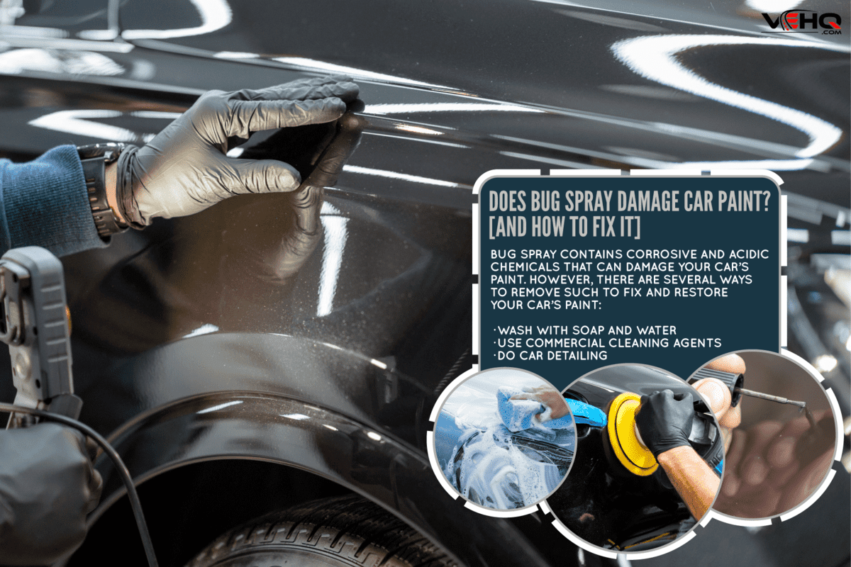 Worker examining vehicle body for scratches, Does Bug Spray Damage Car Paint? [And How To Fix It]