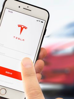 Person sign in on the tesla account to control tesla car, What Does Vent Do On The Tesla App?
