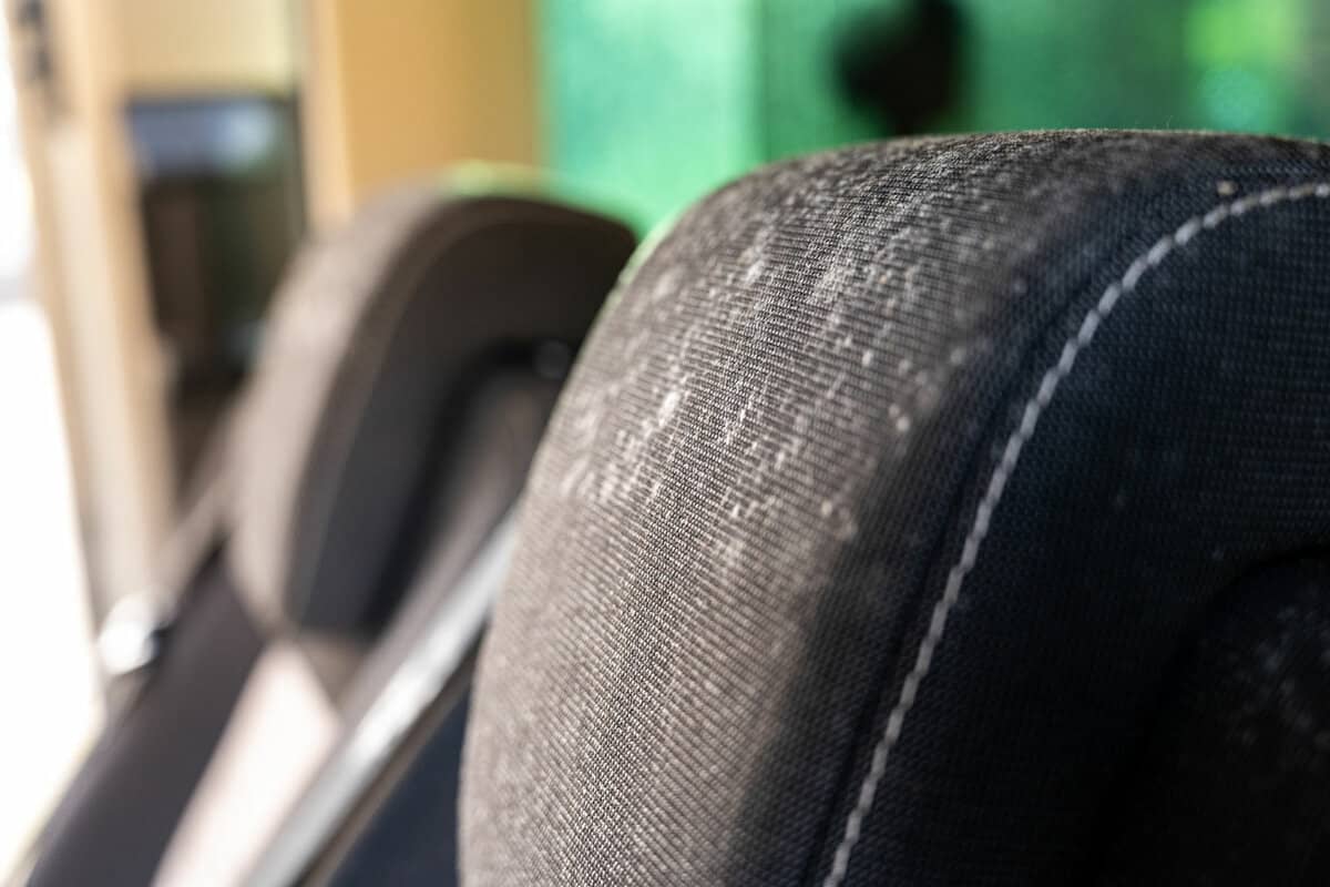 Close up of mold on the head rest of a car seat that has been laid up for several months 