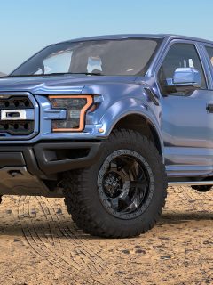 Ford F-150 Raptor standing on a sand dune by the ocean, What Is The Biggest Tire For A Stock Ford Raptor?