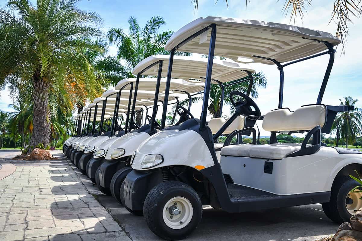Golf carts and palm tree