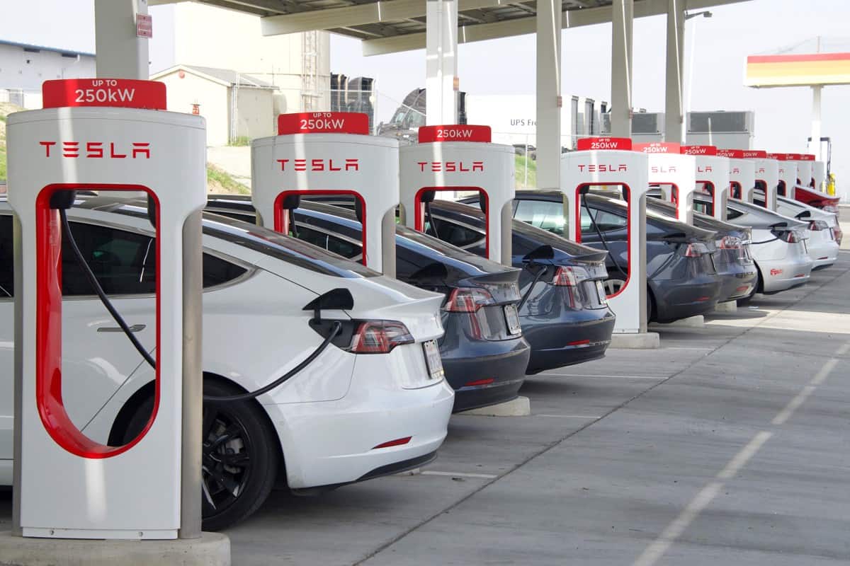Many cars charging at a Tesla Supercharger station.