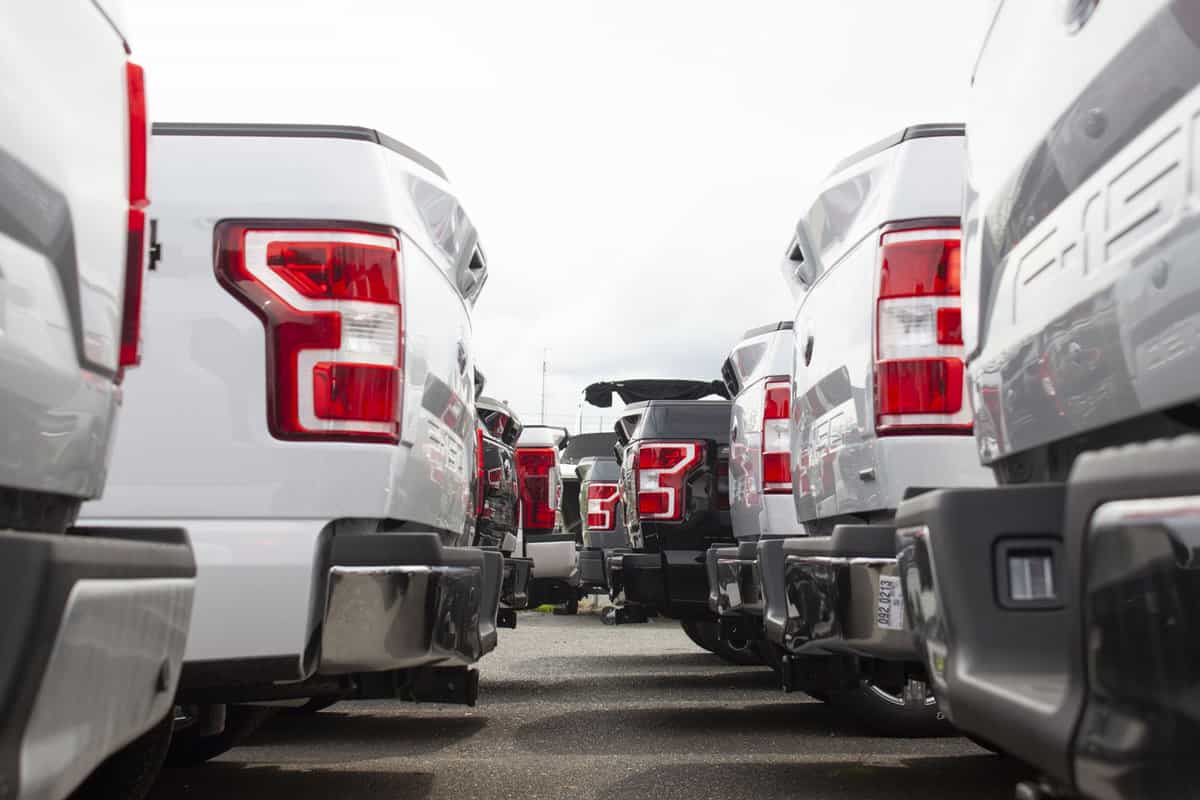 Two rows of truck rear ends parked close together on a dealership parking lot. 