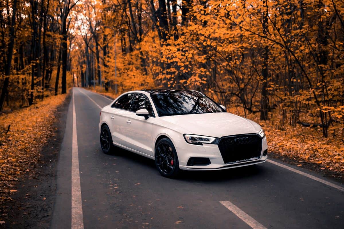Audi A3 in the beautiful autumn forest