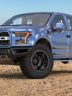 Ford F-150 Raptor - Most Extreme Production Truck On The Planet standing on a sand dune by the ocean, Will The F150 Tailgate Fit F250