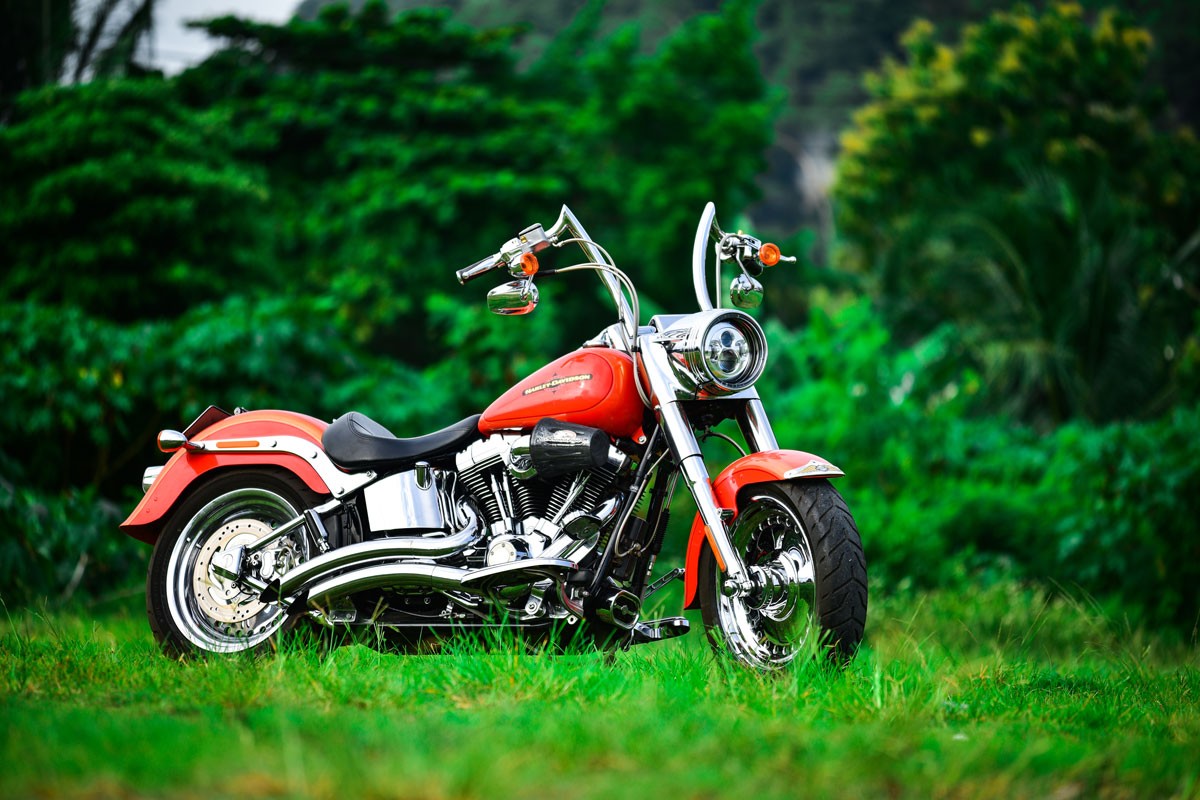 motorcycle Harley-Davidson Popular in the world With a beautiful and powerful appearance