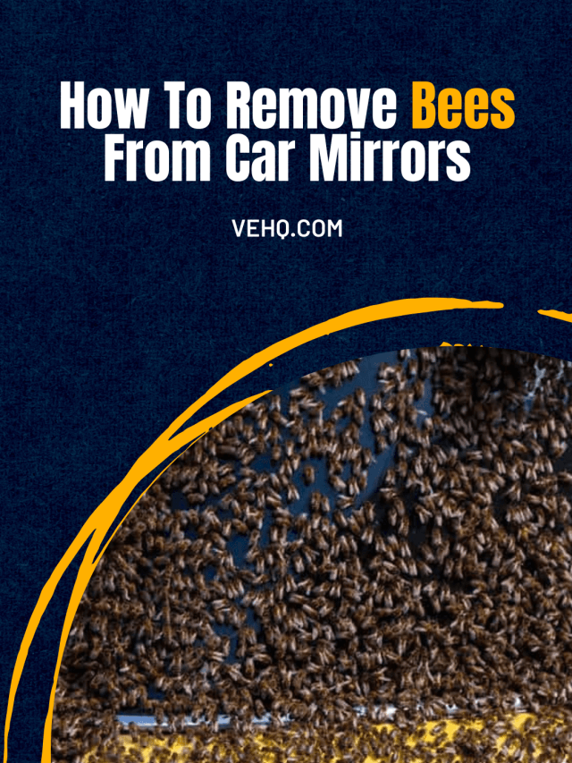How To Remove Bees From Car Mirrors