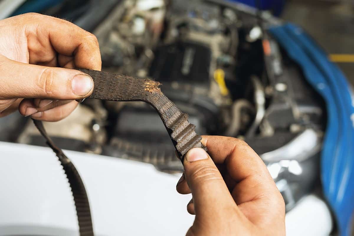 An auto mechanic shows a torn timing belt with worn teeth