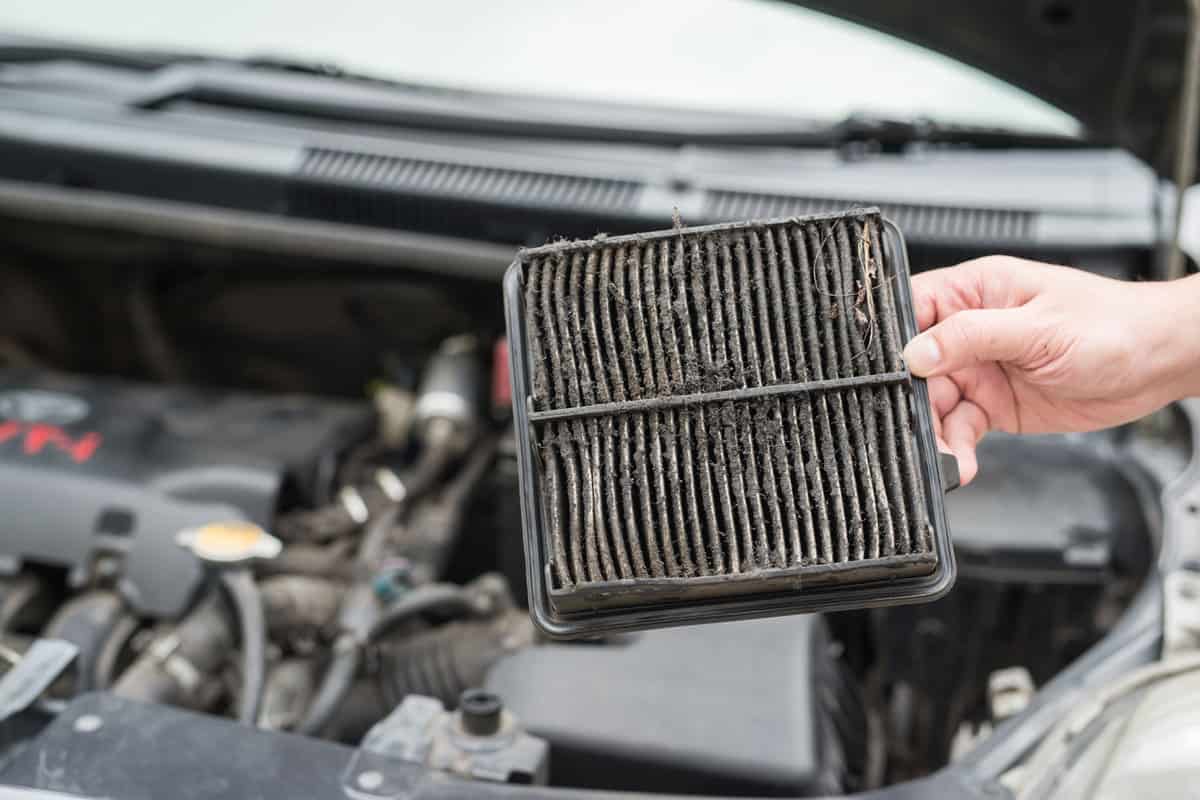 Technician holding dirty air filter for car

