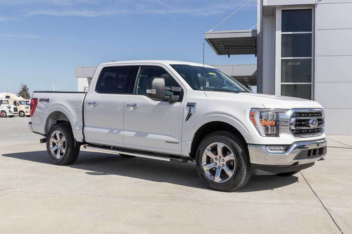 All new Ford F150 at a dealership